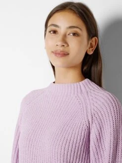 BERSHKA Basic Truien Trui Dames Mauve -Winterkledingwinkel Voor Dames 051313fca2e78a3598061b87950d3c86