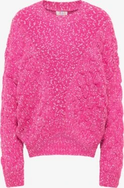 IZIA Oversized Truien Oversized Trui Dames Pink