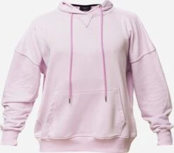 Hoodies Trui Dames Lila / Sering