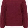 Faina Basic Truien Trui Dames Donkerrood -Winterkledingwinkel Voor Dames 671e3882fcabbc9e3d3d08e88fc0c46c