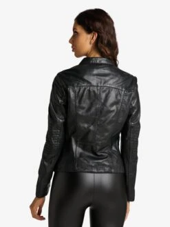 CARLO COLUCCI Leren Jassen Tussenjas Stud Dames Zwart -Winterkledingwinkel Voor Dames 74db48e0d3c6515eef1d5880b708392e