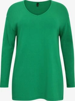 Fijngebreide Truien Trui Dames Groen