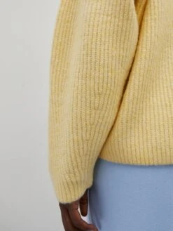 EDITED Basic Truien Trui Kaliyah Dames Geel -Winterkledingwinkel Voor Dames 7b8092a78cadf17c45e81ce8fdd55d2b