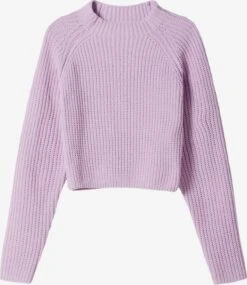 BERSHKA Basic Truien Trui Dames Mauve