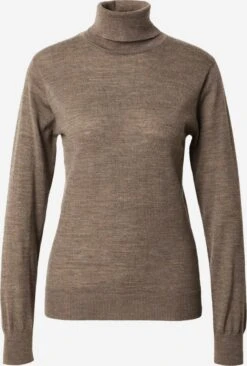 Coltruien Trui Pricilla Dames Bruin