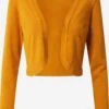 Kaffe Boleros Bolero Astrid Dames Goudgeel 2 Kaffe Boleros Bolero Astrid Dames Goudgeel -Winterkledingwinkel Voor Dames c6cd8a6cf0e950d7525e3d566c0f74cd