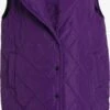 Bodywarmers Bodywarmer Dames Donkerlila 1 Bodywarmers Bodywarmer Dames Donkerlila -Winterkledingwinkel Voor Dames ce031b62b3a8d27569cceae43db24bac