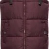 Navahoo Bodywarmers Bodywarmer Dames Bordeaux -Winterkledingwinkel Voor Dames d926c0459be629119909b89ecc9167ae